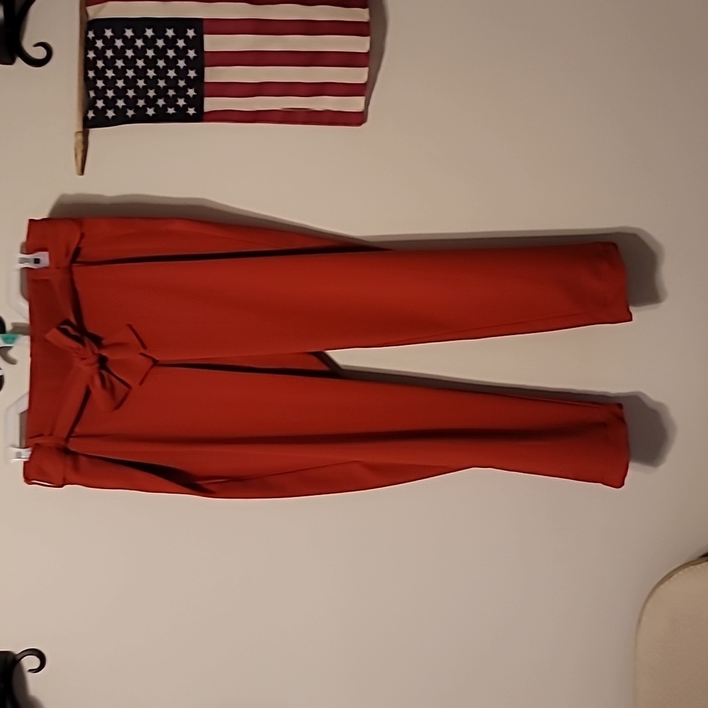 Womans Capri Dress Pants Burnt Orange Size 00